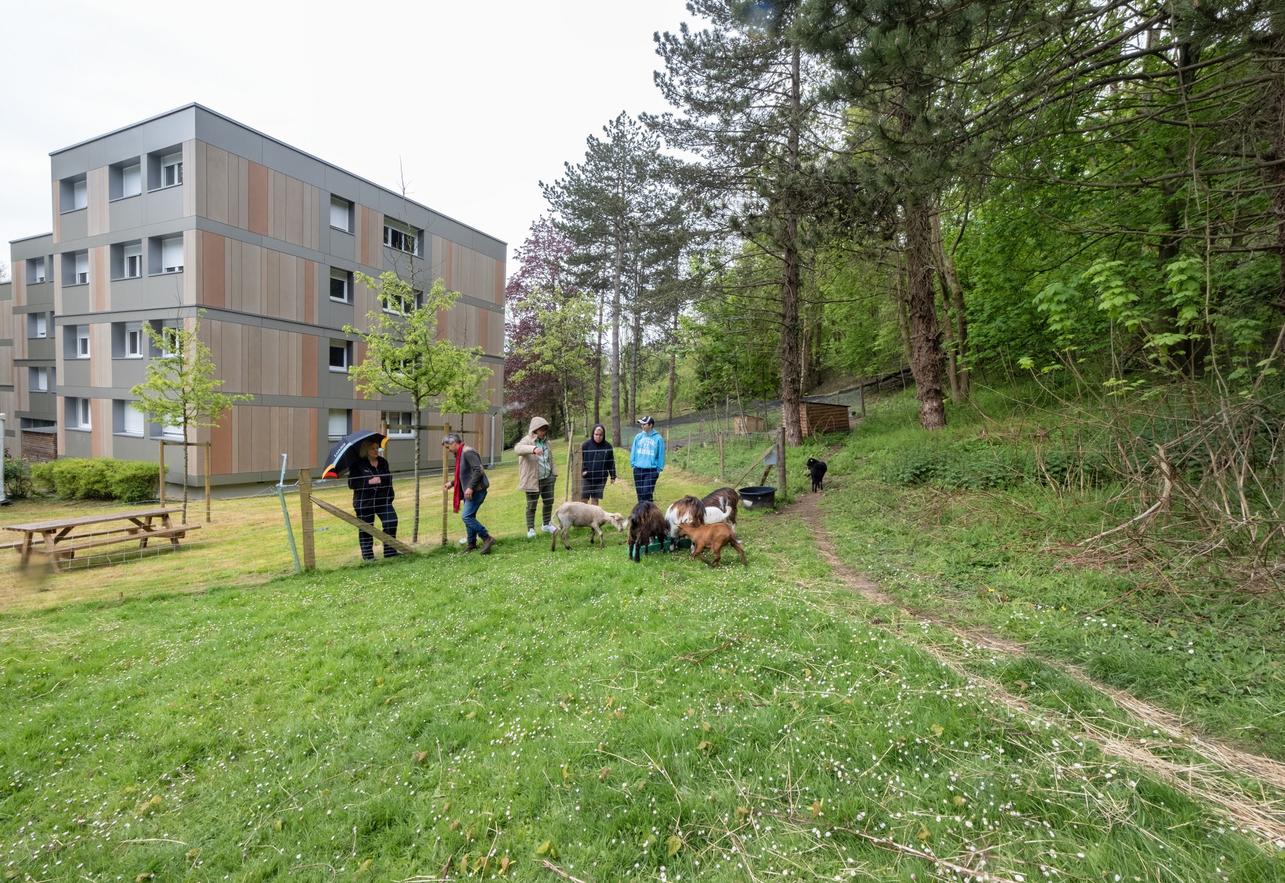 Inauguration Les Pommiers Lillebonne